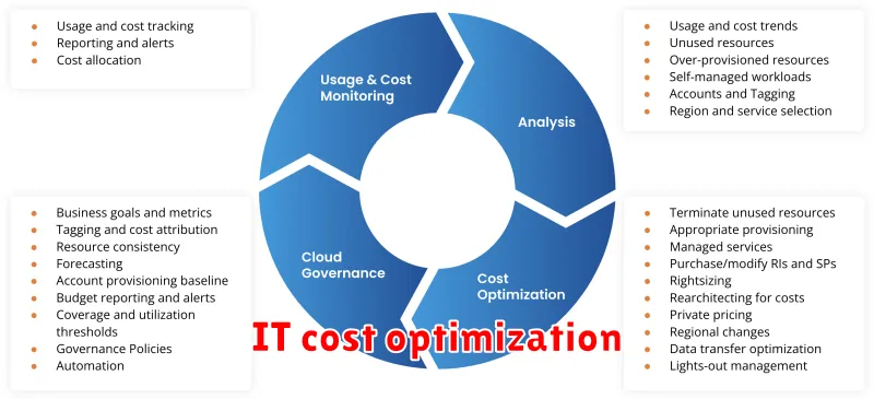 IT cost optimization