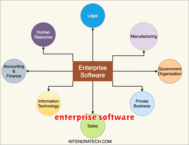 enterprise software