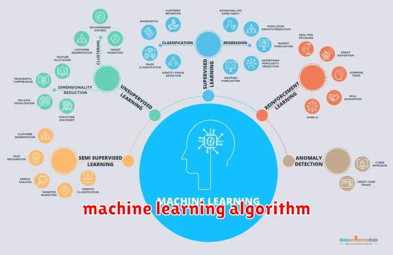 machine learning algorithm