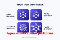 types of blockchain platforms