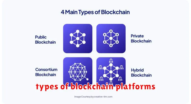 types of blockchain platforms